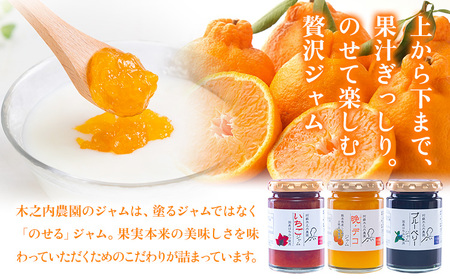 木之内農園の手作りジャム　3種食べ比べセット 150g×3本 《30日以内に出荷予定(土日祝を除く)》 熊本県南阿蘇村 ジャム いちご ブルーベリー 晩白柚 不知火 デコ 苺 大粒 乗せるジャム