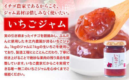 木之内農園の手作りジャム　3種食べ比べセット 150g×3本 《30日以内に出荷予定(土日祝を除く)》 熊本県南阿蘇村 ジャム いちご ブルーベリー 晩白柚 不知火 デコ 苺 大粒 乗せるジャム