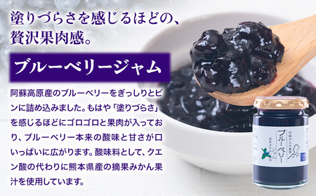 木之内農園の手作りジャム　3種食べ比べセット 150g×3本 《30日以内に出荷予定(土日祝を除く)》 熊本県南阿蘇村 ジャム いちご ブルーベリー 晩白柚 不知火 デコ 苺 大粒 乗せるジャム