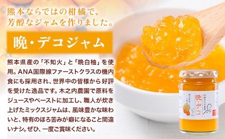 木之内農園の手作りジャム　3種食べ比べセット 150g×3本 《30日以内に出荷予定(土日祝を除く)》 熊本県南阿蘇村 ジャム いちご ブルーベリー 晩白柚 不知火 デコ 苺 大粒 乗せるジャム