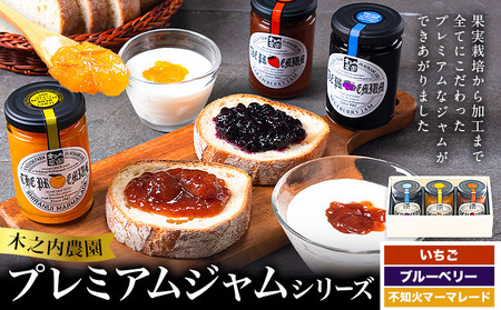 阿蘇 木之内農園 プレミアムシリーズ 3本セット 1本 150g×3 いちご ブルーベリー 不知火マーマレード《30日以内に出荷予定(土日祝を除く)》 熊本県 南阿蘇村 ジャム いちご ブルーベリー 不知火マーマレード ジャム スイーツ ギフトセット 送料無料