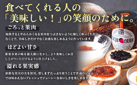 阿蘇 木之内農園 プレミアムシリーズ 3本セット 1本 150g×3 いちご ブルーベリー 不知火マーマレード《30日以内に出荷予定(土日祝を除く)》 熊本県 南阿蘇村 ジャム いちご ブルーベリー 不知火マーマレード ジャム スイーツ ギフトセット 送料無料