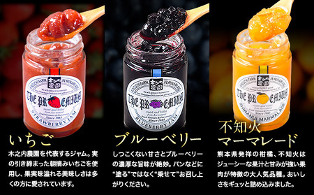 阿蘇 木之内農園 プレミアムシリーズ 3本セット 1本 150g×3 いちご ブルーベリー 不知火マーマレード《30日以内に出荷予定(土日祝を除く)》 熊本県 南阿蘇村 ジャム いちご ブルーベリー 不知火マーマレード ジャム スイーツ ギフトセット 送料無料