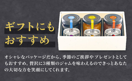 阿蘇 木之内農園 プレミアムシリーズ 3本セット 1本 150g×3 いちご ブルーベリー 不知火マーマレード《30日以内に出荷予定(土日祝を除く)》 熊本県 南阿蘇村 ジャム いちご ブルーベリー 不知火マーマレード ジャム スイーツ ギフトセット 送料無料