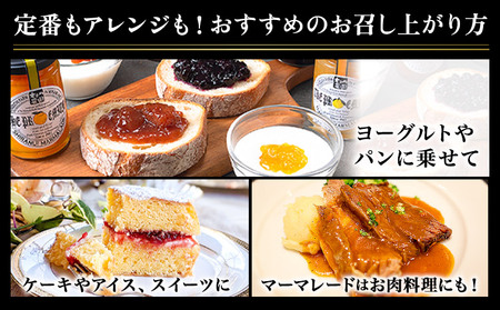 阿蘇 木之内農園 プレミアムシリーズ 5本セット 1本 150g×5 いちご ブルーベリー 不知火マーマレード はるかマーマレード 不知火ハーブマーマレード《30日以内に出荷予定(土日祝を除く)》 熊本県 南阿蘇村 ジャム スイーツ ギフトセット 送料無料