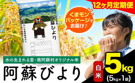 【12ヶ月定期便】阿蘇びより 白米 5kg (5kg×1袋)《お申込み翌月から出荷》 |国産米 人気米 熊本県産米 お米
