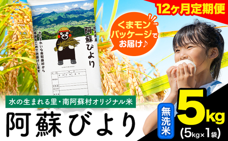 【12ヶ月定期便】阿蘇びより 無洗米 5kg (5kg×1袋)《お申込み翌月から出荷》 ｜国産米 人気米 熊本県産米 お米