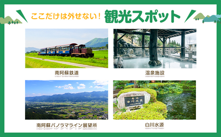 熊本県 南阿蘇村 日本旅行 地域限定旅行クーポン 60,000円《寄付翌月末を目途に付与いたします》