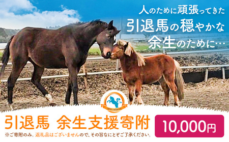 【返礼品なし】引退馬余生支援寄附 10,000円 一般社団法人オープンセサミアライブ 熊本県 南阿蘇村 馬 ウマ 支援 競走馬 引退馬 生活支援 動物愛護 保護 返礼品なし 寄附 牧場 オープンセサミ アニマルサンクチュアリ