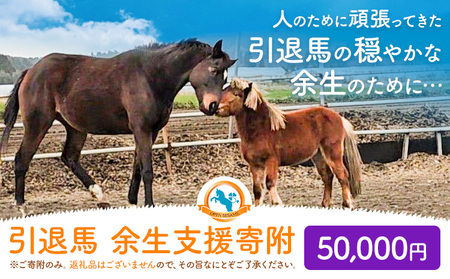 【返礼品なし】引退馬余生支援寄附 50,000円 一般社団法人オープンセサミアライブ 熊本県 南阿蘇村 馬 ウマ 支援 競走馬 引退馬 生活支援 動物愛護 保護 返礼品なし 寄附 牧場 オープンセサミ アニマルサンクチュアリ