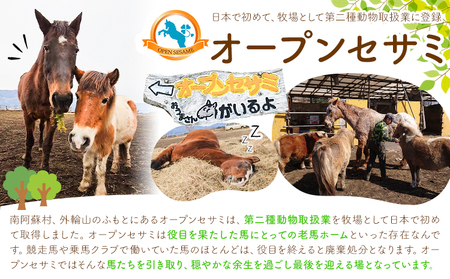 【返礼品なし】引退馬余生支援寄附 50,000円 一般社団法人オープンセサミアライブ 熊本県 南阿蘇村 馬 ウマ 支援 競走馬 引退馬 生活支援 動物愛護 保護 返礼品なし 寄附 牧場 オープンセサミ アニマルサンクチュアリ