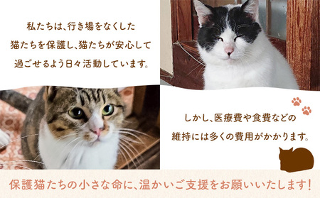 【返礼品なし】保護猫支援寄附 5,000円 一般社団法人オープンセサミアライブ 熊本県 南阿蘇村 保護猫 支援 猫 ネコ ねこ 生活支援 動物愛護 保護 返礼品なし 寄附 牧場 オープンセサミ アニマルサンクチュアリ