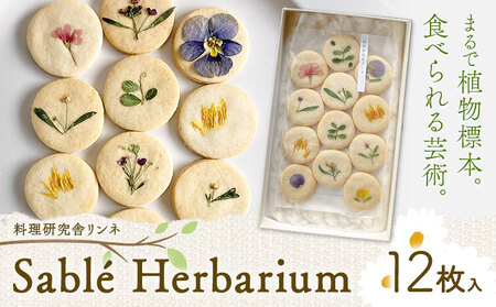 Sable Herbarium 12枚入り 料理研究舎リンネ《30日以内に出荷予定(土日祝除く)》熊本県 南阿蘇村 サブレハーバリウム サブレ グルテンフリー 米粉 エディブルフラワー カモミール クッキー 焼菓子 焼き菓子 お菓子 贈り物 プレゼント ギフト 4,000円