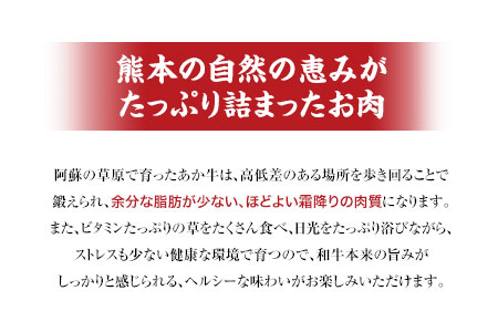 肥後のあか牛（熊本県産）焼肉用500g 南阿蘇食品 《90日以内に出荷予定(土日祝除く)》 熊本県 南阿蘇村