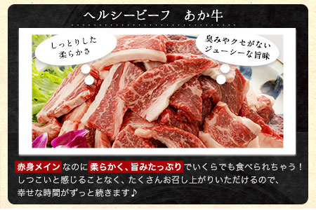 肥後のあか牛（熊本県産）焼肉用500g 南阿蘇食品 《90日以内に出荷予定(土日祝除く)》 熊本県 南阿蘇村