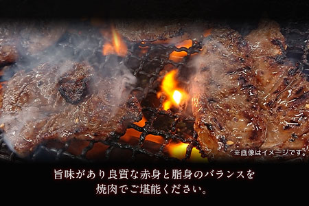 肥後のあか牛（熊本県産）焼肉用500g 南阿蘇食品 《90日以内に出荷予定(土日祝除く)》 熊本県 南阿蘇村