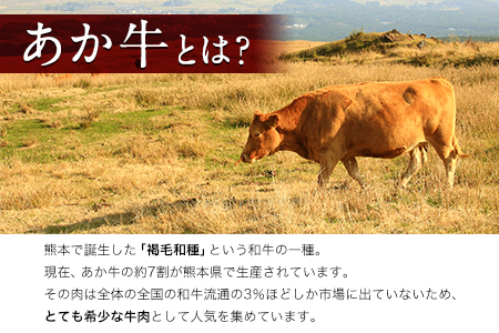 ミスジステーキ 120g×2枚 希少部位 熊本県産 あか牛 赤牛 あかうし《90日以内に出荷予定(土日祝除く)》