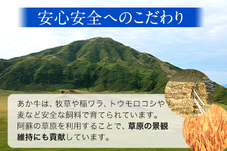 ミスジステーキ 120g×2枚 希少部位 熊本県産 あか牛 赤牛 あかうし《90日以内に出荷予定(土日祝除く)》