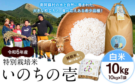 新米 令和6年産 特別栽培米 いのちの壱(白米)10kg×1 雑穀米付き《30日以内に出荷予定(土日祝除く)》 熊本県 南阿蘇村 熊本県産 虹色のかば 雑穀米