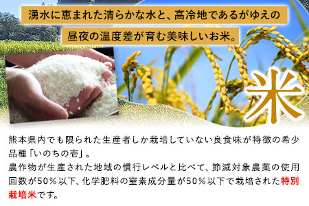 新米 令和6年産 特別栽培米 いのちの壱(白米)10kg×1 雑穀米付き《30日以内に出荷予定(土日祝除く)》 熊本県 南阿蘇村 熊本県産 虹色のかば 雑穀米