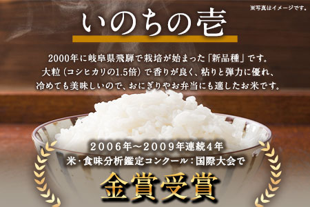 新米 令和6年産 特別栽培米 いのちの壱(白米)10kg×1 雑穀米付き《30日以内に出荷予定(土日祝除く)》 熊本県 南阿蘇村 熊本県産 虹色のかば 雑穀米