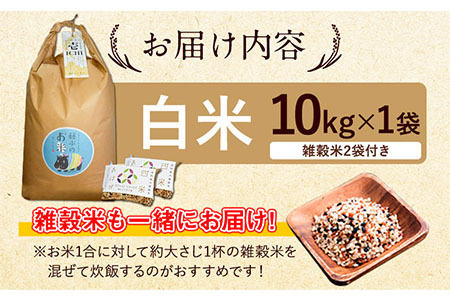 新米 令和6年産 特別栽培米 いのちの壱(白米)10kg×1 雑穀米付き《30日以内に出荷予定(土日祝除く)》 熊本県 南阿蘇村 熊本県産 虹色のかば 雑穀米