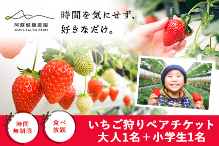 阿蘇健康農園 いちご狩り 時間無制限 食べ放題 ペアチケット 大人1名 小学生1名 22年1月上旬 3月末頃より順次出荷 熊本県南阿蘇村 体験チケット 苺 イチゴ 苺狩り 熊本県南阿蘇村 ふるさと納税サイト ふるなび