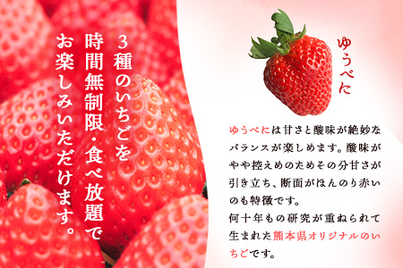 阿蘇健康農園 いちご狩り 時間無制限 食べ放題 ペアチケット 大人1名 小学生1名 22年1月上旬 3月末頃より順次出荷 熊本県南阿蘇村 体験チケット 苺 イチゴ 苺狩り 熊本県南阿蘇村 ふるさと納税サイト ふるなび