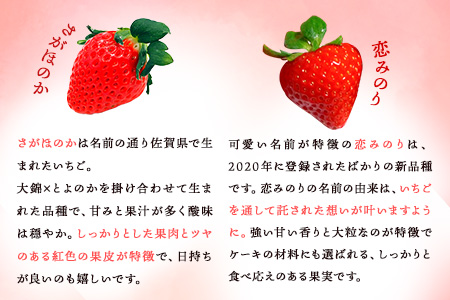 阿蘇健康農園 いちご狩り 時間無制限 食べ放題 ペアチケット 大人1名 小学生1名 22年1月上旬 3月末頃より順次出荷 熊本県南阿蘇村 体験チケット 苺 イチゴ 苺狩り 熊本県南阿蘇村 ふるさと納税サイト ふるなび