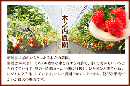 手作り いちごジャムとブルーベリージャム 木之内農園  1kg×2本《30日以内に出荷予定(土日祝除く)》 