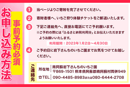 南阿蘇岩下さんちのいちご園の商品券 3000円分 いちご狩り体験 や現地