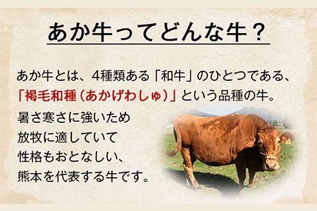 あか牛ハンバーグ4個入り 150g×4個 《60日以内に出荷予定(土日祝除く)》あか牛の館 熊本県南阿蘇村 ハンバーグ あか牛 熊本県産 600g  牛肉 | 熊本県南阿蘇村 | ふるさと納税サイト「ふるなび」