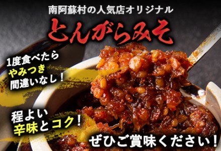 とんがらみそ 8個入り《30日以内に出荷予定(土日祝除く)》熊本県 南阿蘇村 マグマ食堂 ラーメン店 人気店オリジナル 調味料 ソース ドレッシング