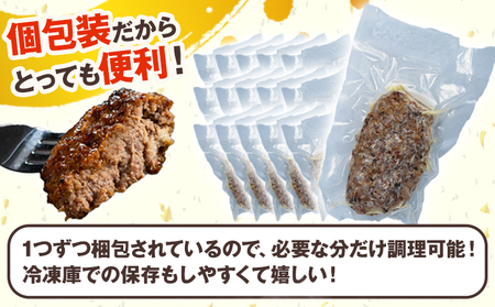 馬肉ハンバーグ 16個セット 130g×16個 《60日以内に出荷予定(土日祝除く)》 熊本県 南阿蘇村 ハンバーグ 馬肉ハンバーグ 馬肉 個包装 真空パック 人気 送料無料 専門店 冷凍惣菜 冷凍 時短 千興ファーム