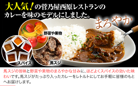 たっぷり！馬スジカレー 10食セット《60日以内に出荷予定(土日祝除く)》馬スジ カレー お肉 馬すじ カレーライス 馬肉 贈答 ギフト グルメ お取り寄せ 熊本県 南阿蘇村 送料無料 個包装 大人気 簡単調理 千興ファーム
