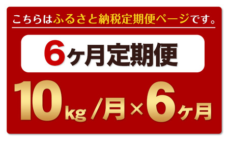 【6ヶ月定期便】熊本ふるさと無洗米 10kg《お申し込みの翌月から出荷》