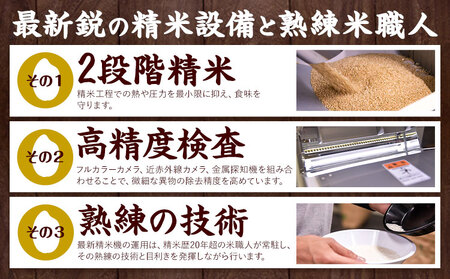 【6ヶ月定期便】熊本ふるさと無洗米 10kg《お申し込みの翌月から出荷》