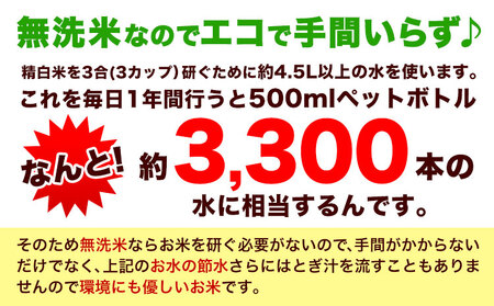 【12ヶ月定期便】熊本ふるさと無洗米 10kg《お申し込みの翌月から出荷》