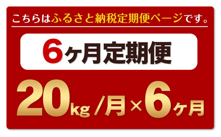 【6ヶ月定期便】熊本ふるさと無洗米 20kg《お申し込みの翌月から出荷》