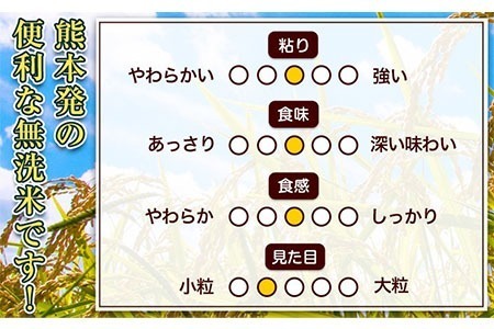 【6ヶ月定期便】熊本ふるさと無洗米 20kg《お申し込みの翌月から出荷》