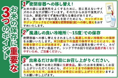 【6ヶ月定期便】熊本ふるさと無洗米 20kg《お申し込みの翌月から出荷》