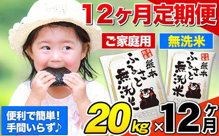 【12ヶ月定期便】熊本ふるさと無洗米 20kg 《お申し込みの翌月から出荷》