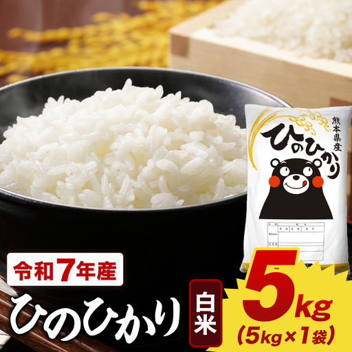 米 令和7年産 白米 ひのひかり 5kg(5kg×1袋)米《1-5日以内に出荷予定(土日祝を除く)》