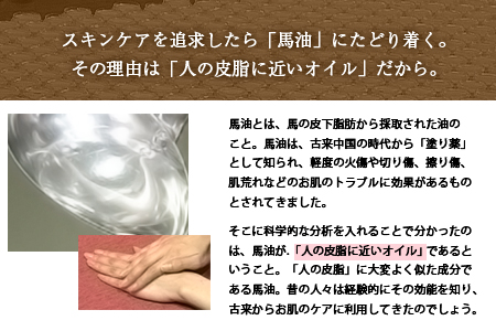 プラセンタ ヘルスケア スキンケア セット 肌美和株式会社 30日以内に順次出荷 土日祝除く 熊本県御船町 ふるさと納税サイト ふるなび