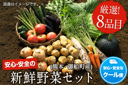 安心・安全の熊本県御船町産 厳選8品目 安心・安全の新鮮野菜セット ≪30日以内に順次出荷(土日祝除く)》