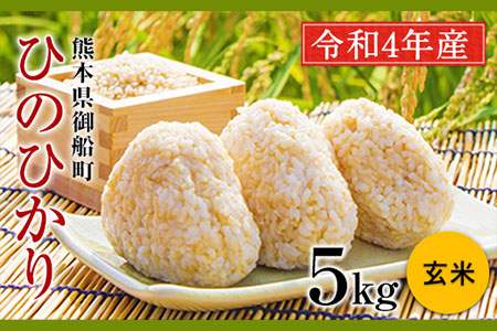 安心・安全 御船町産限定!★【令和3年産 新米】 ひのひかり 玄米約5kg 御船共栄株式会社《30日以内に順次出荷(土日祝除く)》