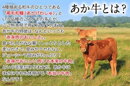  あか牛サーロインステーキ 約200g×2枚 肉のみやべ