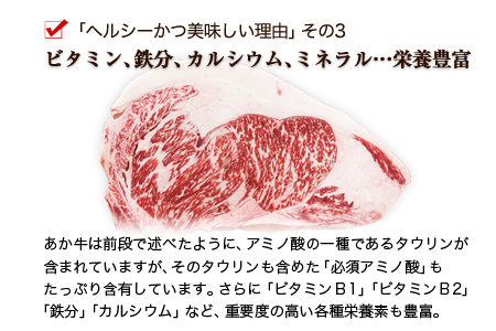  黒豚手造りみそ豚 約100g×10枚 肉のみやべ