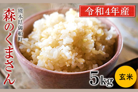 安心・安全 御船町産限定!★令和3年産 新米 森のくまさん 玄米約5kg 御船共栄株式会社《30日以内に順次出荷(土日祝除く)》