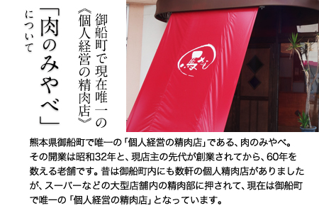 馬肉のミンチカツ 100g×10個入り 肉のみやべ 熊本県御船町《90日以内に出荷予定(土日祝除く)》